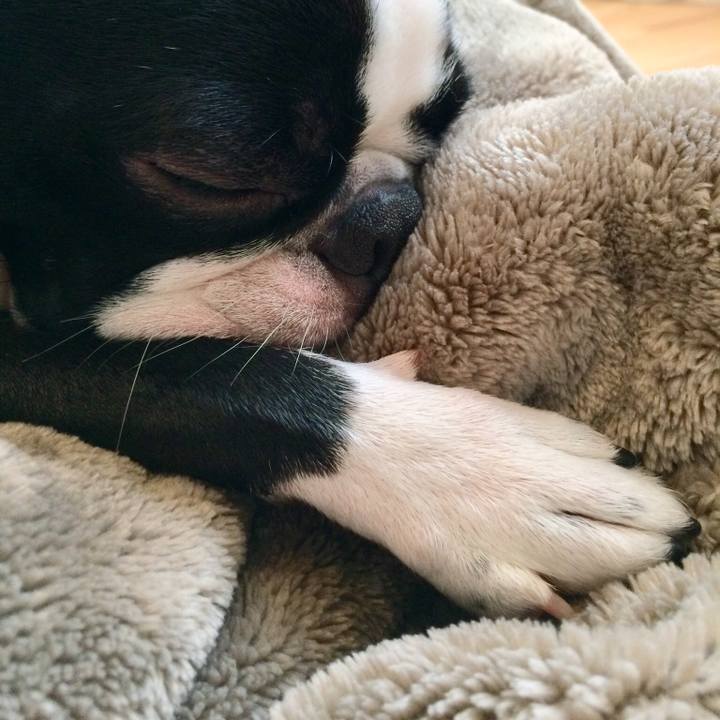 F206ee2a c8e3 4e20 9ad7 f8cd53501602 1510362999625