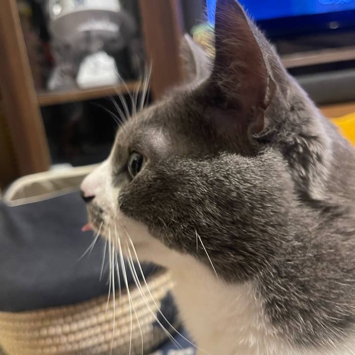 F206f3c5 5f74 4eb4 9991 2dda7665ea04 1735656373678