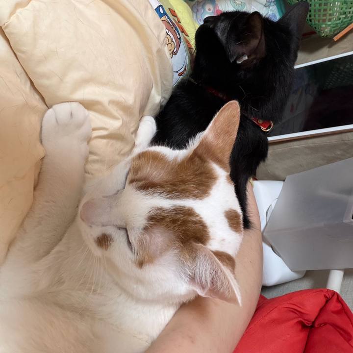 F206f660 8a44 4394 9966 9e7a064c2cdb 1772369524745