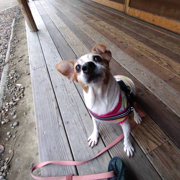 F206fdbe b481 4ecf 8137 9caf65d984ef 1764287279939