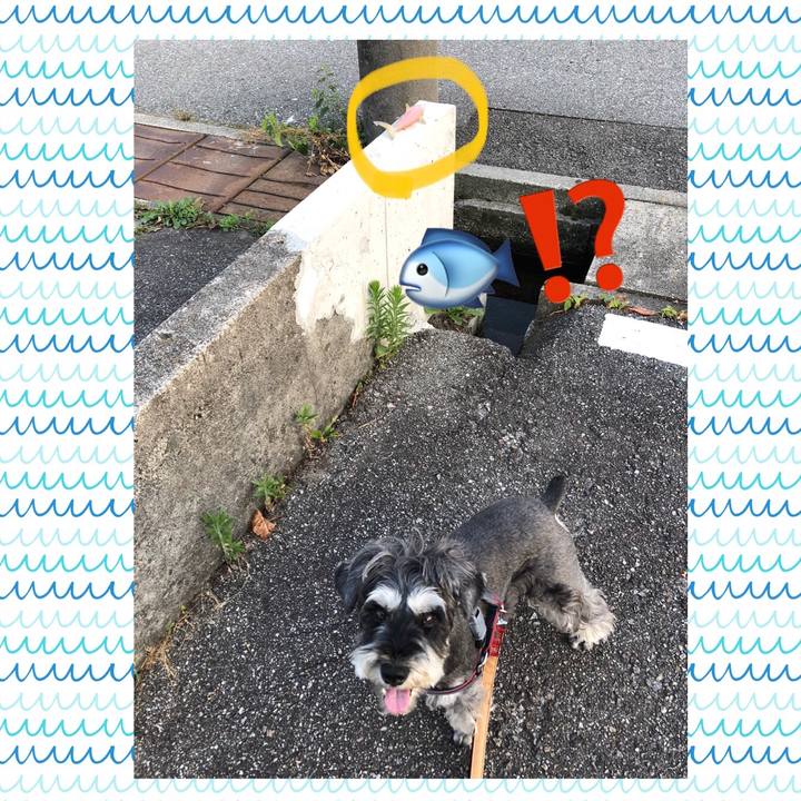 F2071a16 55fc 4d00 a956 1eedf4b65544 1657202647499