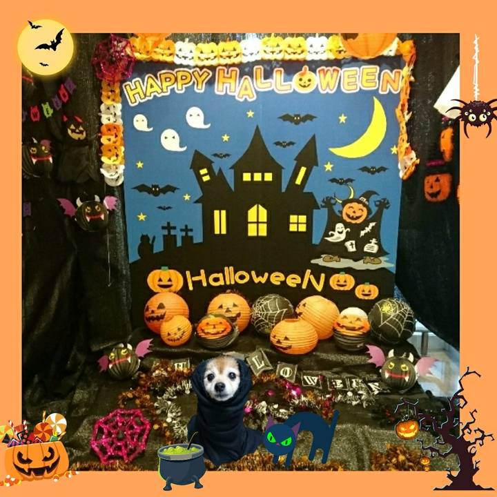 F2072aed 7407 4b3d b7a5 0657e6d1d4da 1539241593428