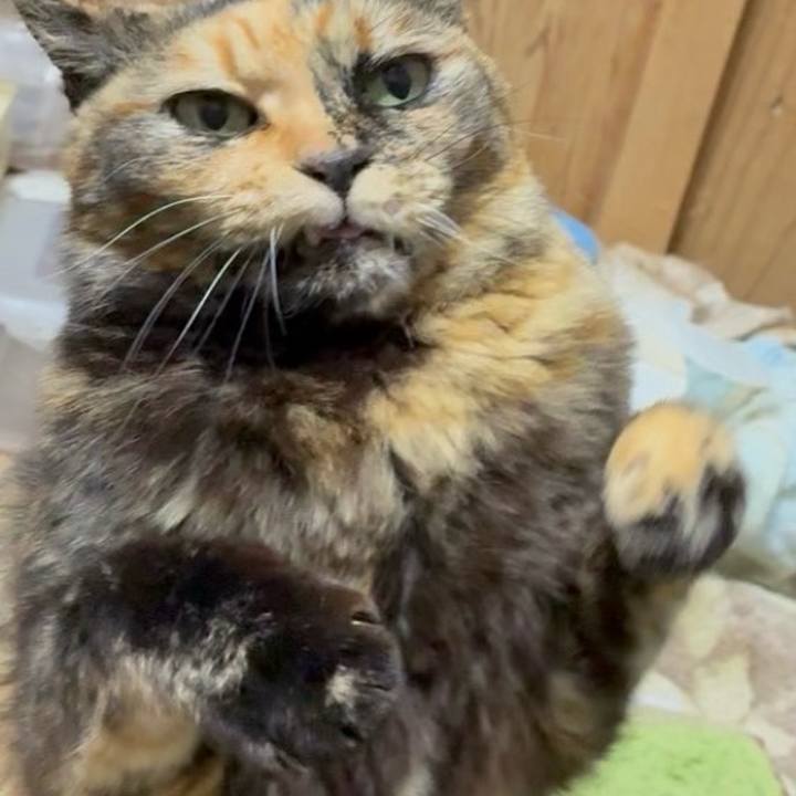 F20767e4 9405 48c6 9bd7 aacb4a1f0075 1769373791079