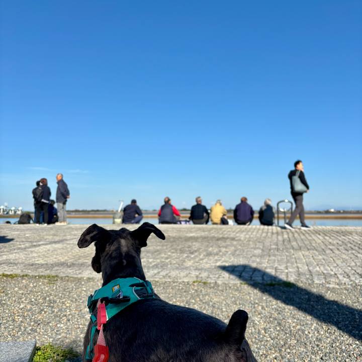 F2076b84 44ec 4571 88ca 8352d628360a 1763186183469