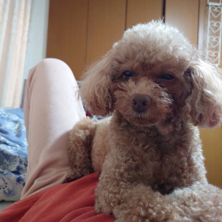 F207a9c7 bc8a 4b0f ac20 541323389a1a 1748677126405