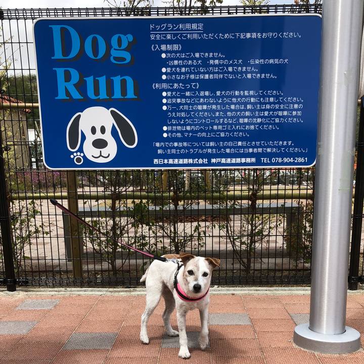 F207c57d d091 49ef 8d24 a70fe0068f49 1523852484684