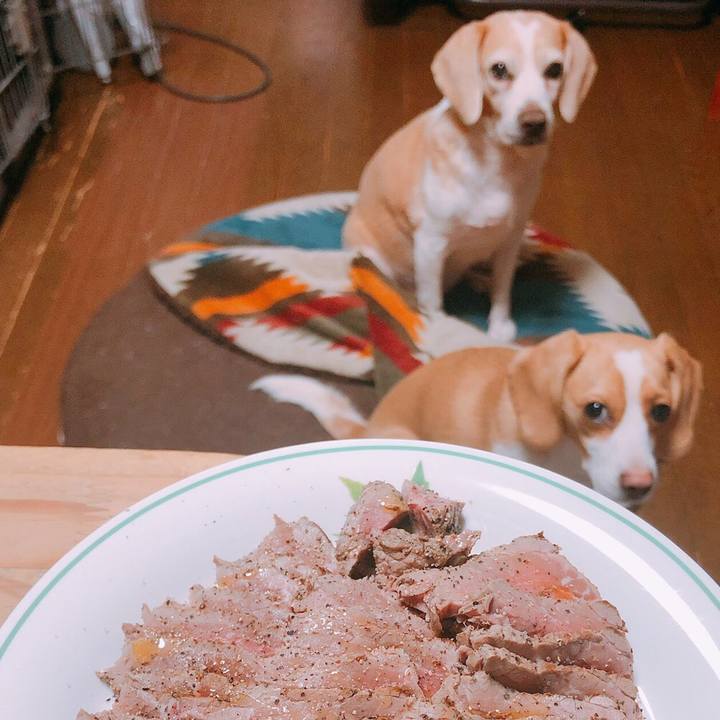 F207da88 50a2 4b7b a4fe 0837a5dff267 1553087890891