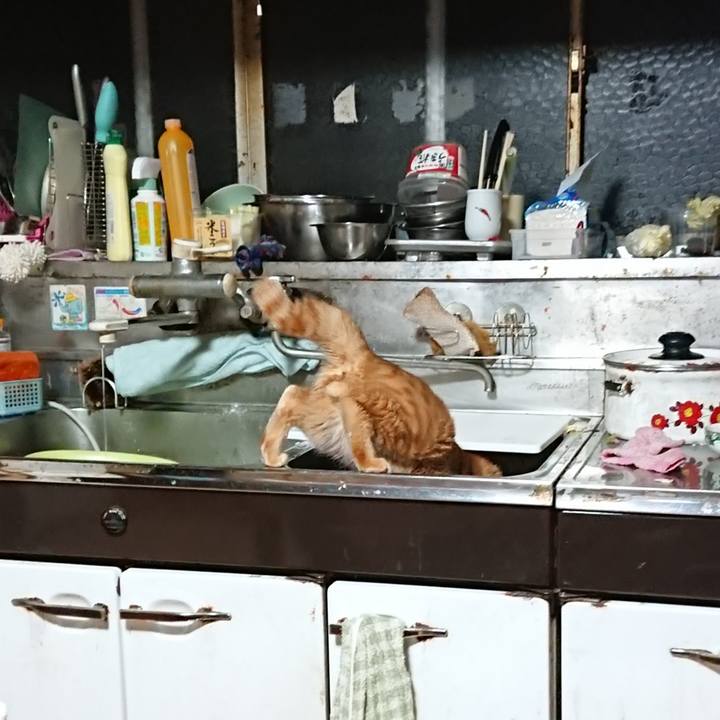 F20814ee 21f5 4243 9ed8 91107a9cca74 1644441845123