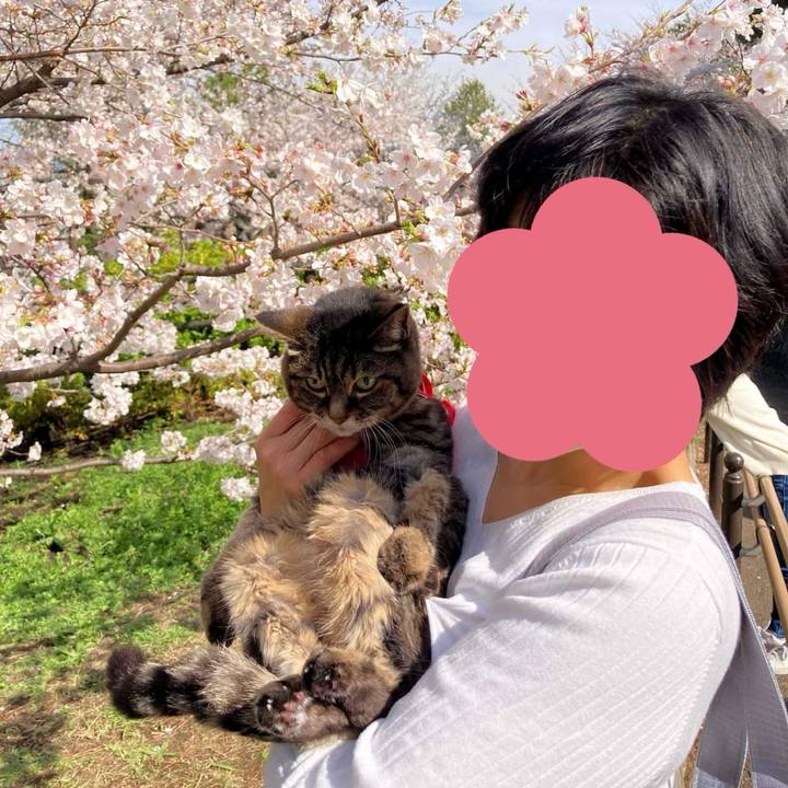 F2081e16 74e8 4dcc b361 ad743e58a2b9 1775563070089