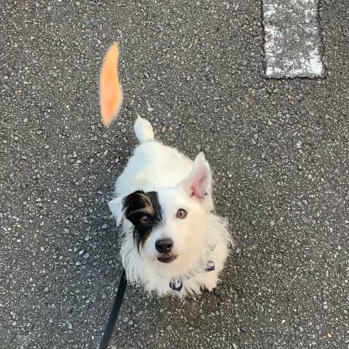 F208263e f629 40c4 a616 1e2b1dd398ce 1664150830648