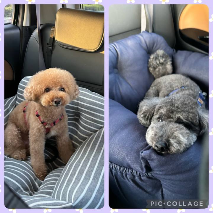 F20828c9 12f5 4fb3 b511 dfdd269fc519 1714046840490