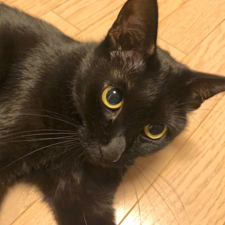 F20848fc 6fb4 4869 bf01 5d74dd60990a 1546080282064