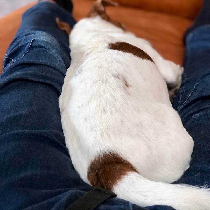 F208d147 7ef8 4df7 91db e0e03e861fa8 1751509242829