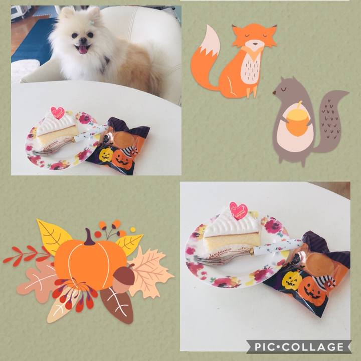 F2090f6b 617e 43cc a469 391b06e905e1 1567351053694