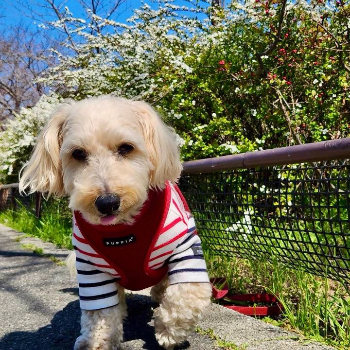 F2090f99 5539 484f 8928 88372ac17bb2 1773724627356