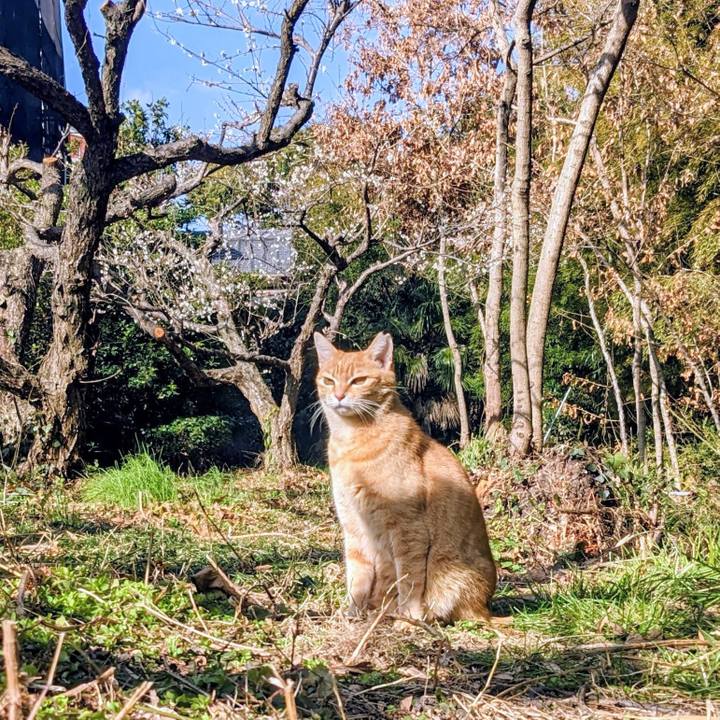 F20940c4 40d4 4321 a98c c7e75b78941c 1771046797057