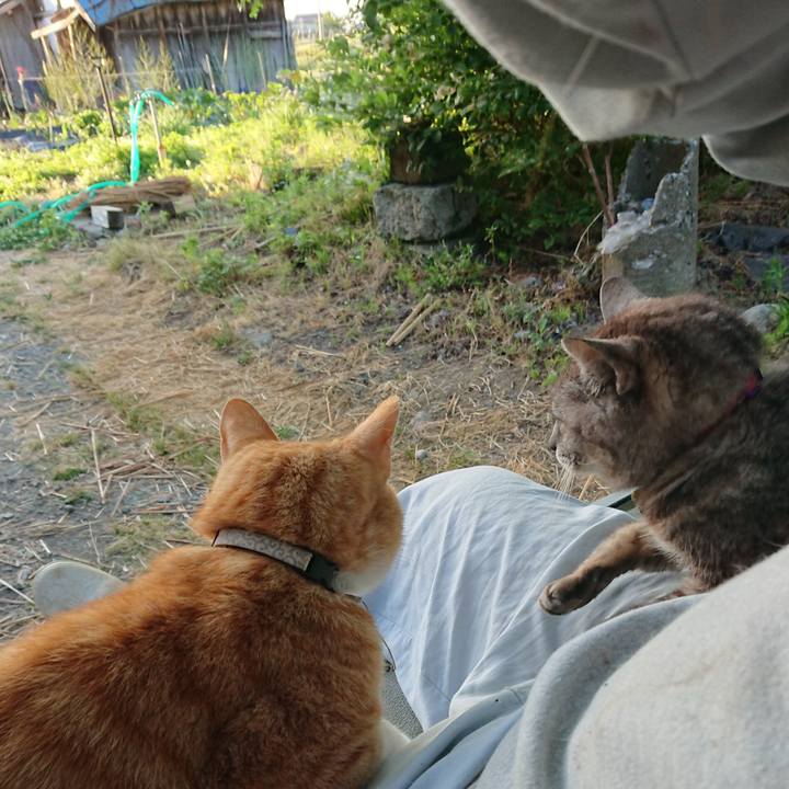 F2096d6f a4d7 49c9 aee3 2575f69c57fe 1592685521241