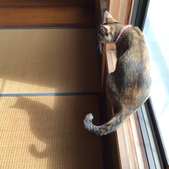 F20975c6 dc5a 406b 9da3 39978df45c09 1595203722703