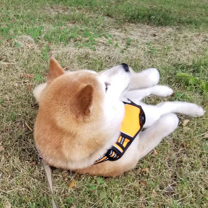 F20a0167 0bad 4bef 8d2a 32f5921cf765 1655798995590