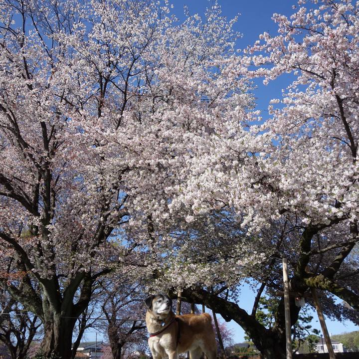 F20a201c c91d 4090 b36c 8cdadd6e86de 1664497993407