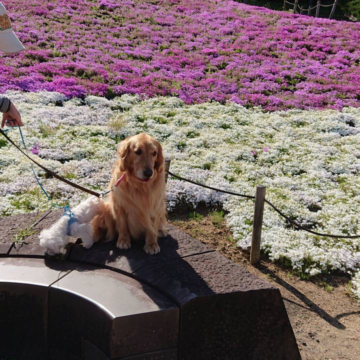 F20a45a1 07d1 488e 9e62 19599cf69599 1557244068609