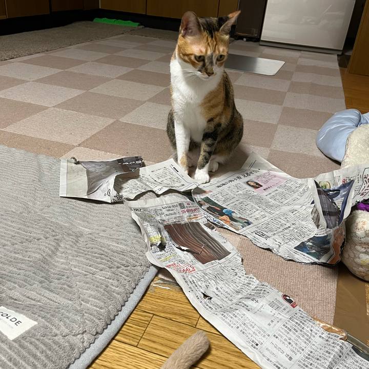 F20a81cc 5e4d 4ab0 a7e1 2f1d18b6db14 1727579980110