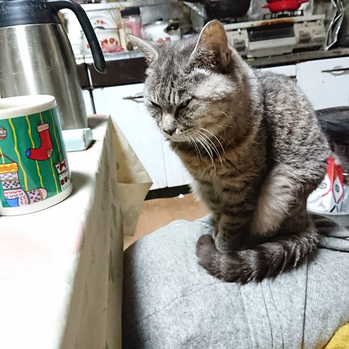 F20ad518 8795 433a 8c31 408768836d25 1571949503804