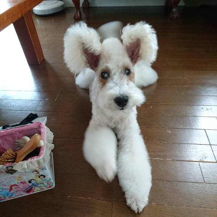 F20af726 40c5 49aa 9365 0d8aff2e6a16 1542514621300