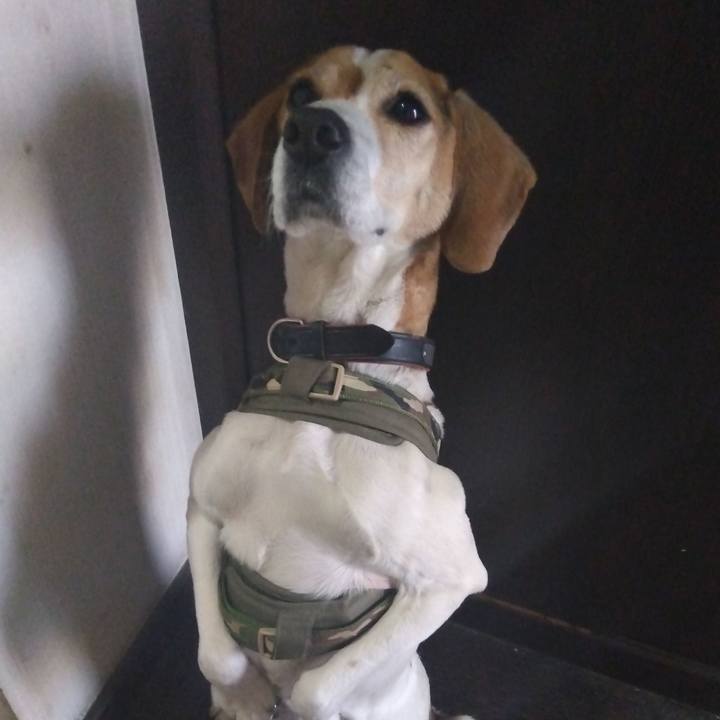 F20af76b 3702 4f02 b634 3764a1562899 1681223342675