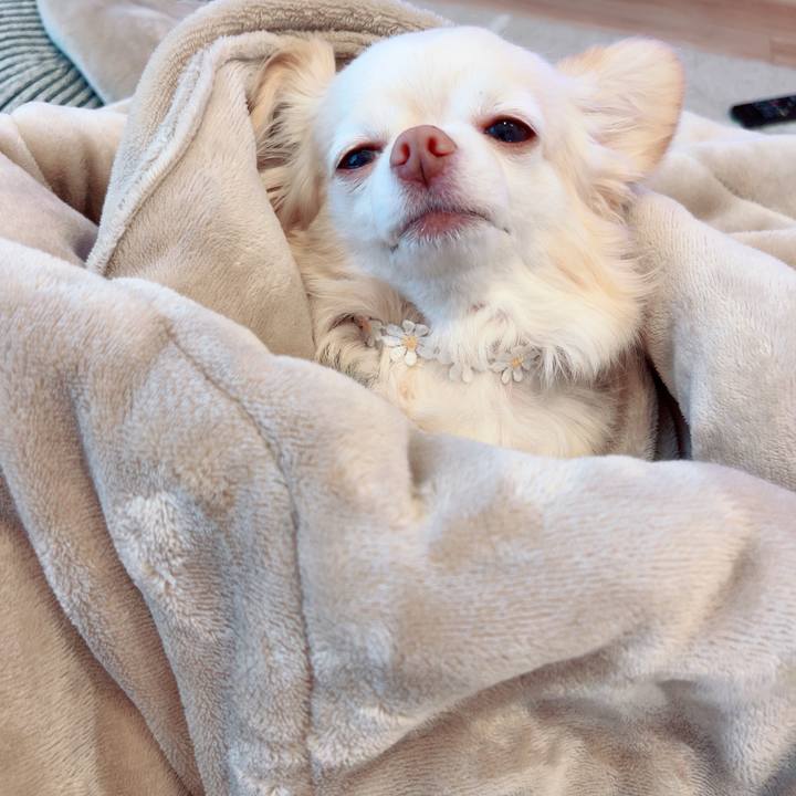 F20b29cd 65f1 4b91 a564 7ee8acc12611 1746492638060