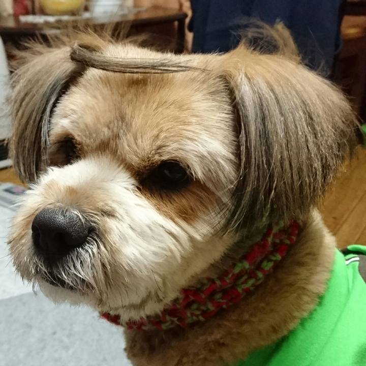 F20b4246 64a2 4249 b497 79f388a4d325 1517222930759