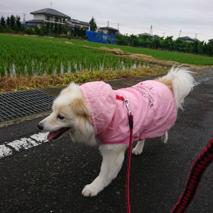 F20b459c 4d50 47f8 bc01 fb7bf10259e1 1529449507734