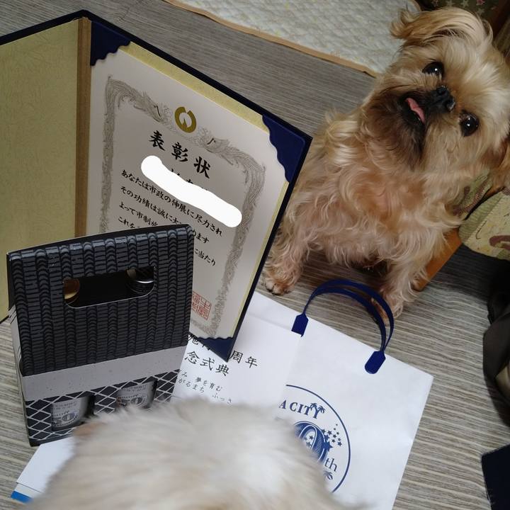 F20b4a54 e283 4c6b b5f5 25b46bde8c9c 1609206129550