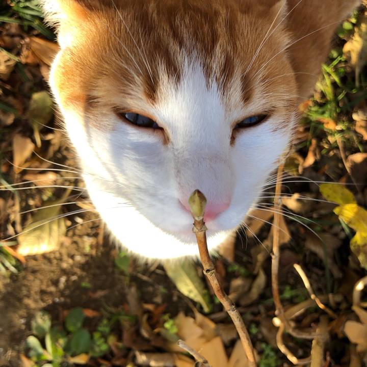 F20b50fb 938d 43d6 a41d 7f3e1bc4452e 1543675966371