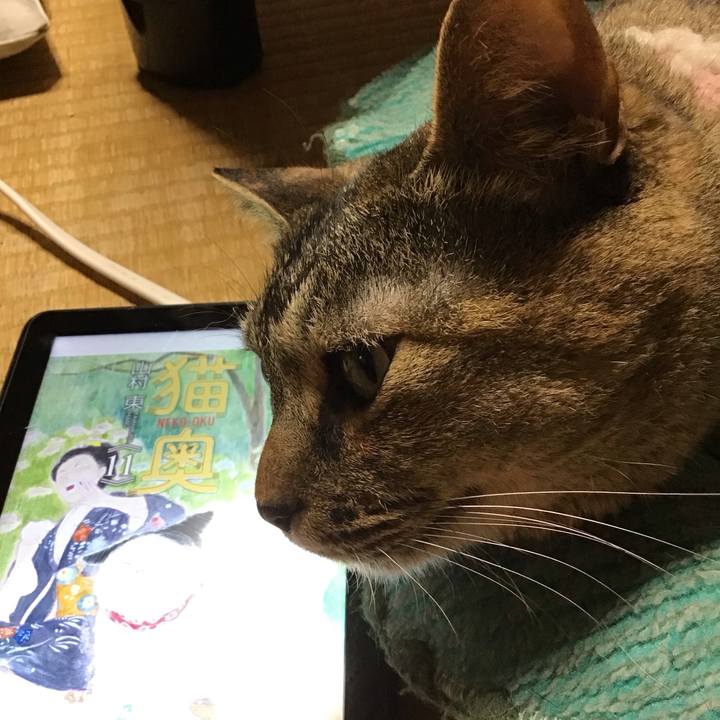 F20b9781 54bc 4d09 a3d6 54cb967a62bf 1750676230093