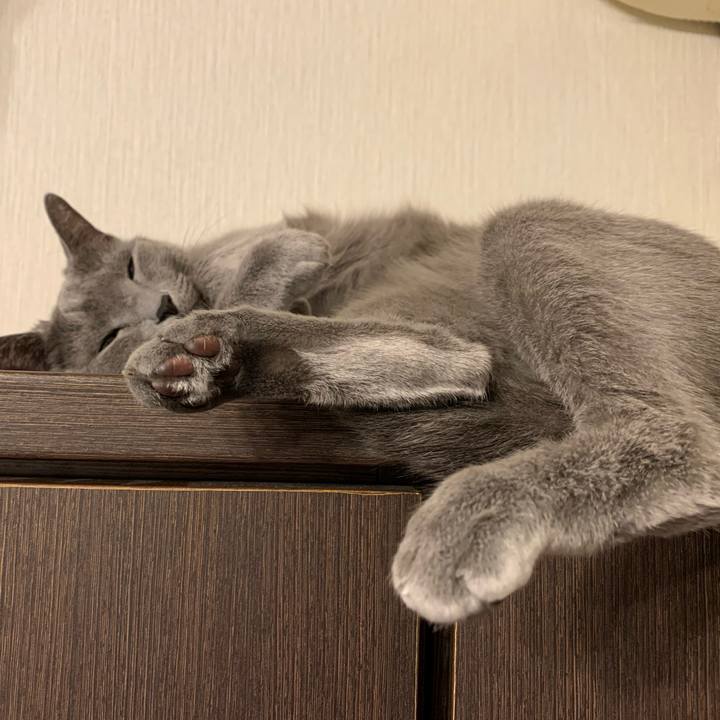 F20baa86 b64d 4041 9354 2cc364586bfa 1668982797432