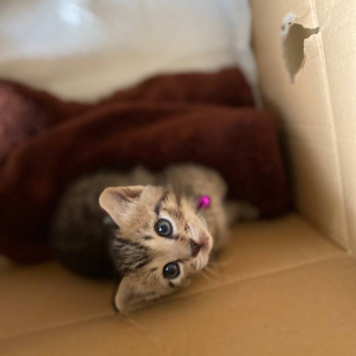 F20c19af 5283 4dd7 aeea e34f1073b940 1596111441148