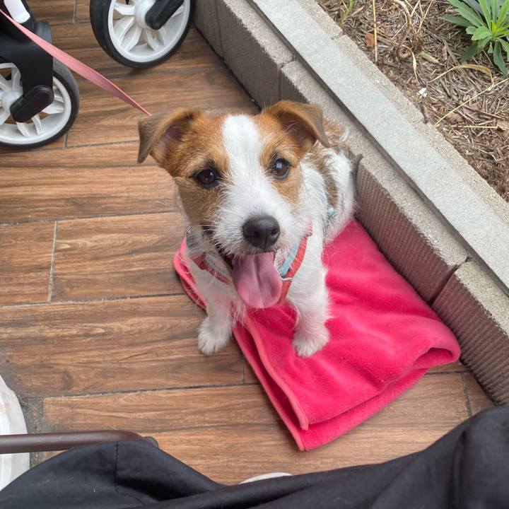 F20c2c39 10a4 4676 83bb 09ed15554fbf 1730009724197