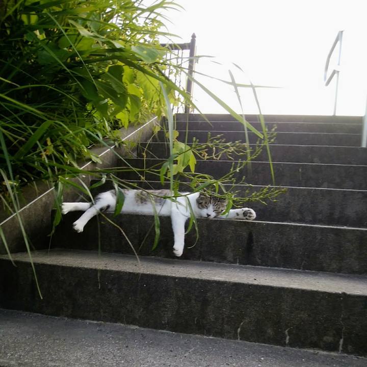 F20c58f5 d45d 47cc 951a d5cd8cd58d76 1564312307791