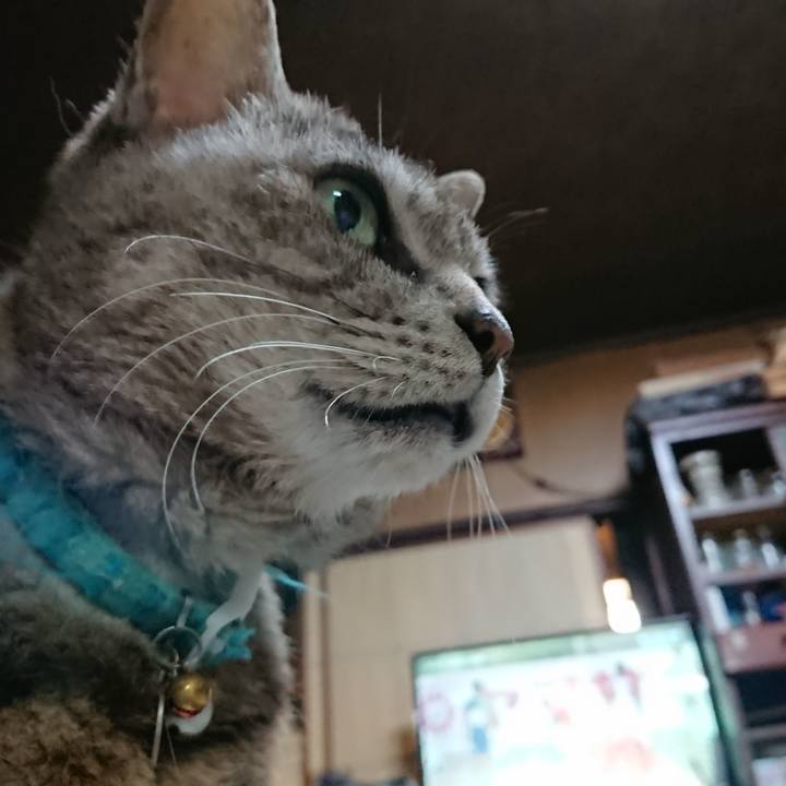 F20c59db c4c1 4989 a22f 797b1b0fb26d 1561723617693