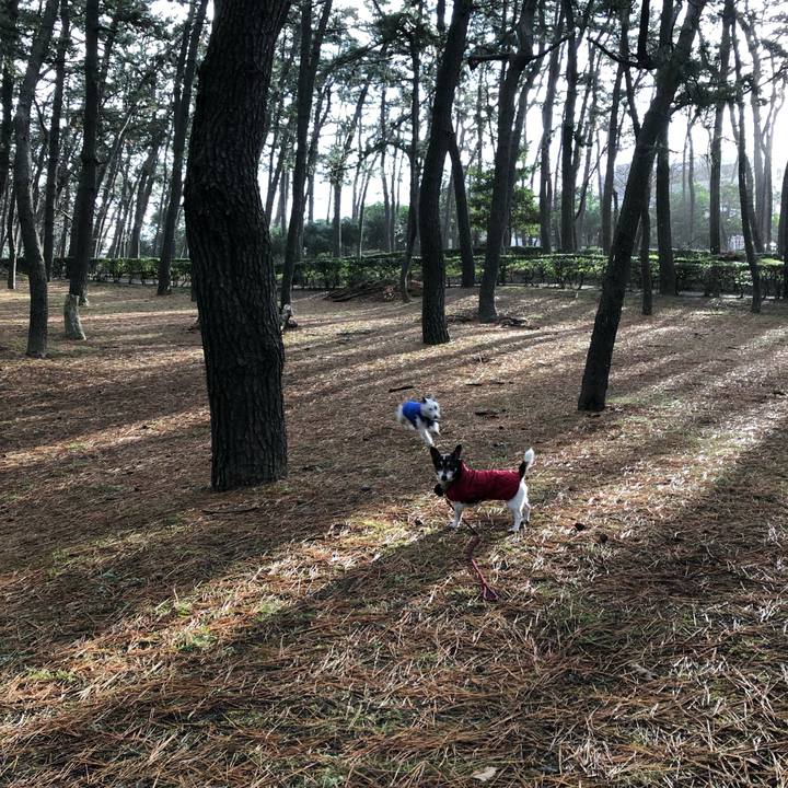 F20c8b61 68d5 4705 8ebf 04d7169bcc57 1545958077633