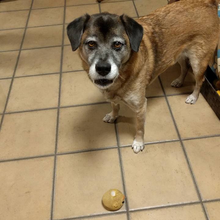 F20ca01c 139d 4964 90ee 27c45d564396 1705797033001