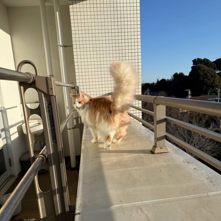 F20cacc7 768f 447b 8623 f72b346e0d5b 1771540822142