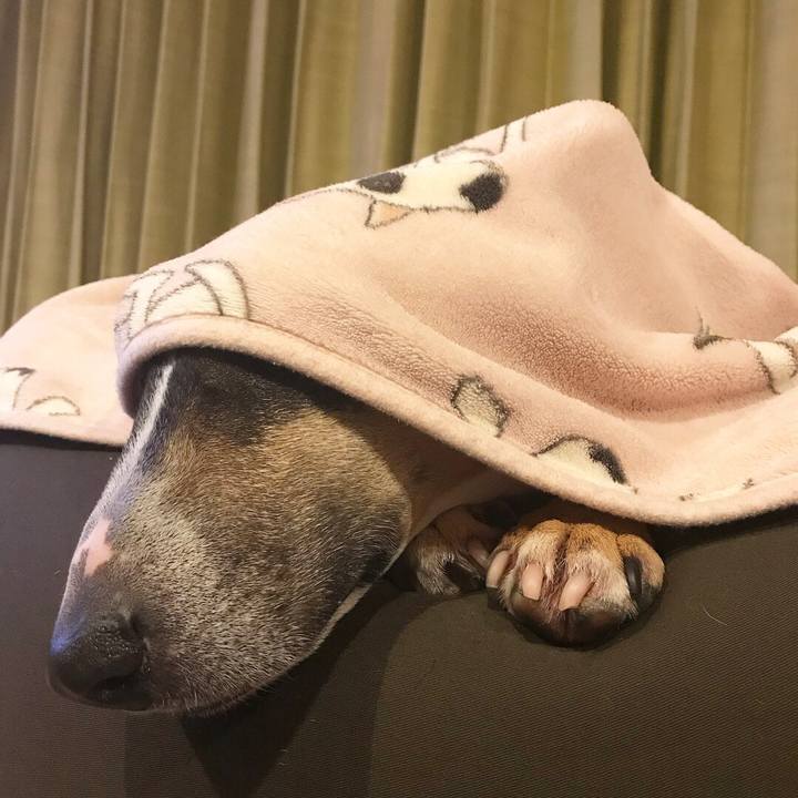 F20ce024 bf30 4f7e a0f9 903f73cb55b2 1515407560227