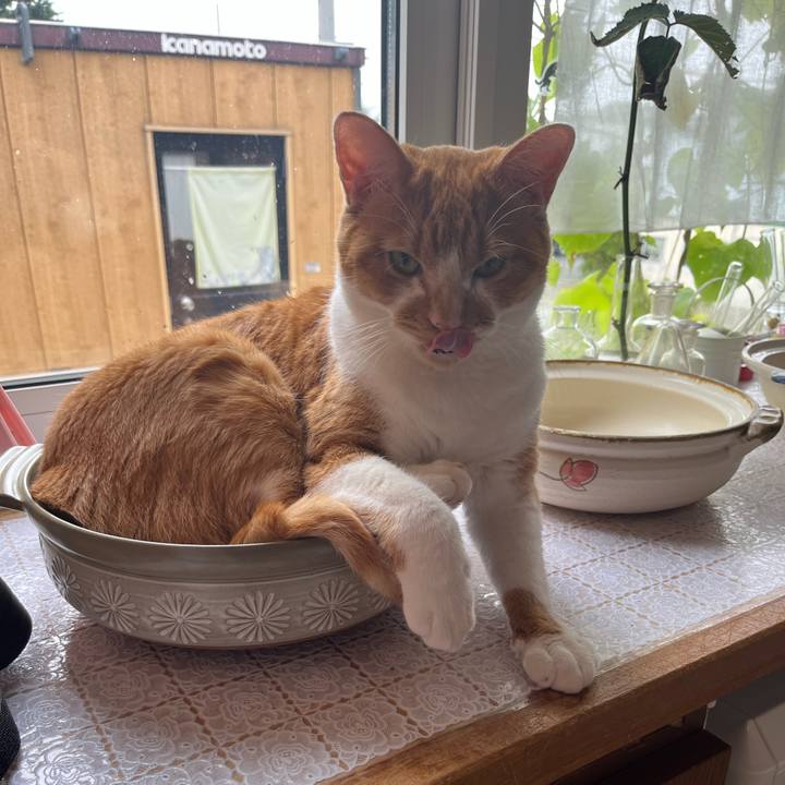 F20cfd57 7ebb 4357 a72f 64acb656556d 1695001358274