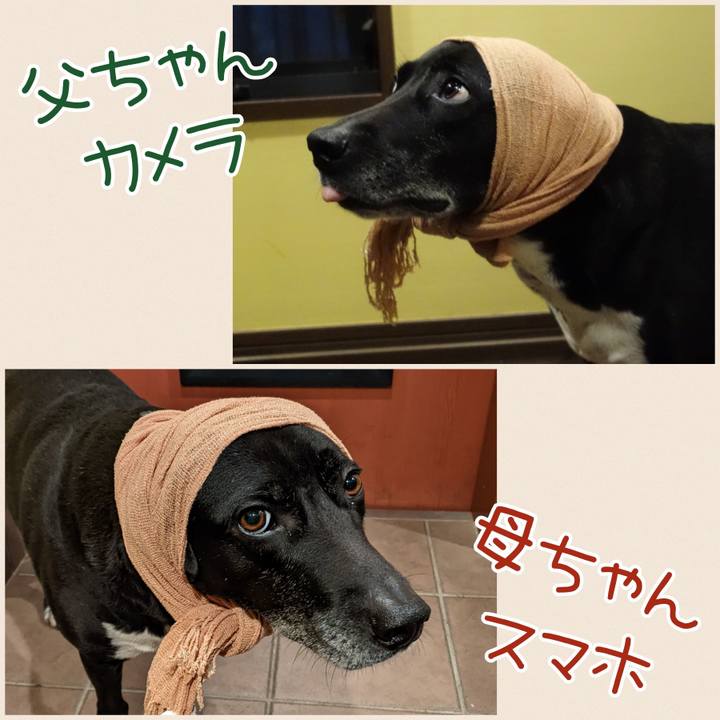 F20d5c9a f9d7 471c 940a 8cd75e15497e 1681037366127