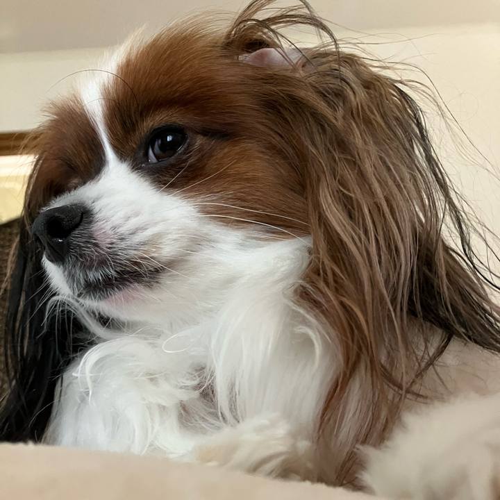 F20d5cbb b9cf 4d28 9f93 8152ce3af6c3 1716073278864