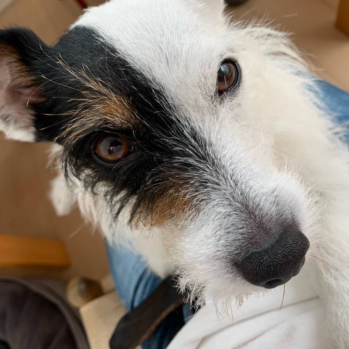 F20d88ef ec79 4849 8692 44e5b8643ba9 1655255663852