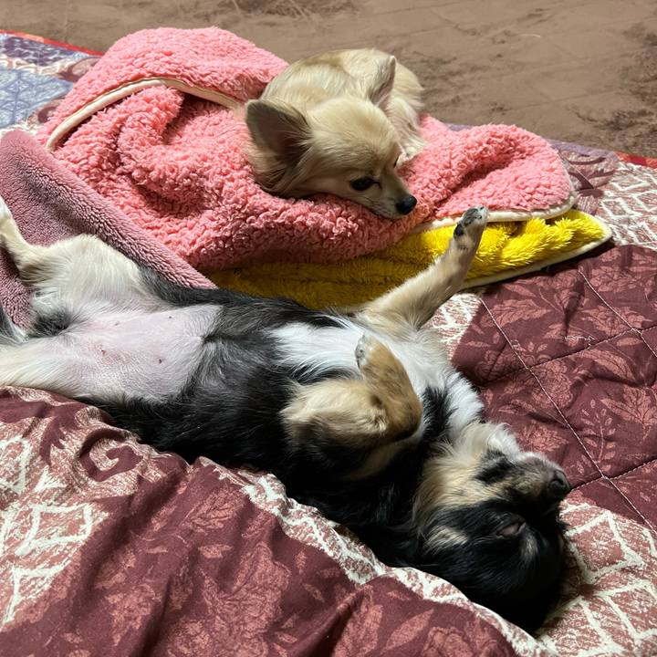 F20d8e8d ac0f 46c6 a476 20ecb5ca1faa 1672547333042