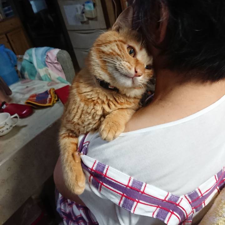 F20de322 a368 4595 b247 94b950cbdf10 1659513641188